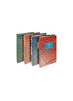 Книга-папка для записей на пружине Secret (LYB51001-3883DB) (12079100) (100страниц) (21,5х28) (Небесный дракон)