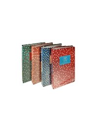 Книга-папка для записей на пружине Secret (LYB51001-3883DB) (12079100) (100страниц) (21,5х28) (Небесный дракон)