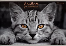 Альбом для рисования «Взгляд кота» Listoff А4, 40 листов, скрепка