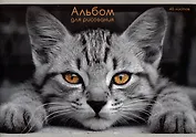 Альбом для рисования Listoff, "Взгляд кота", А4, 40 листов, на скрепке
