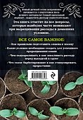 Здоровая рассада. Выращиваем сами - 1