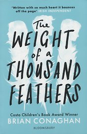 The Weight of a Thousand Feathers