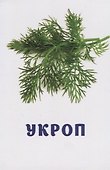 Овощи и зелень. Развивающие карточки - 2
