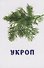 Овощи и зелень. Развивающие карточки - 2