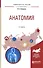 Анатомия. Учебное пособие для вузов - 0
