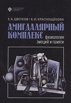 Амигдалярный комплекс: физиология эмоций и памяти