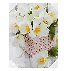 Картина Белые тюльпаны в корзине (30х40) (740-013)