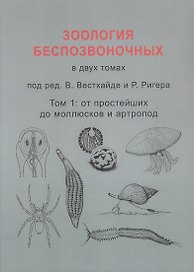 Зоология беспозвоночных. В двух томах. Том 1. От простейших до моллюсков и артропод