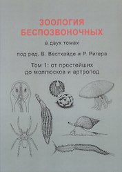 Зоология беспозвоночных. В двух томах. Том 1. От простейших до моллюсков и артропод