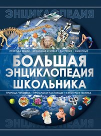 Большая энциклопедия школьника