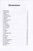 Невероятный шпионский детектив - 2
