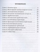 Социально-трудовые конфликты и технология их урегулирования - 2