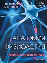 Анатомия. Физиология. Фундаментальные основы. 15-е издание