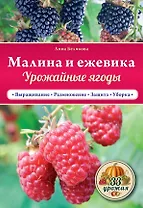 Малина и ежевика. Урожайные ягоды