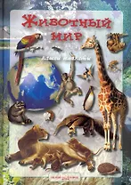 Животный мир нашей планеты