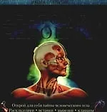 Анатомия человека