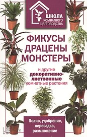 Фикусы, драцены, монстеры и другие декоративно-лиственные комнатные растения