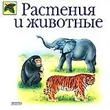 Растения и животные