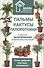 Пальмы, кактусы, папортники и другие экзотические комнатные растения - 0