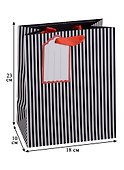 Подарочный пакет «Black stripes» А5 - 2