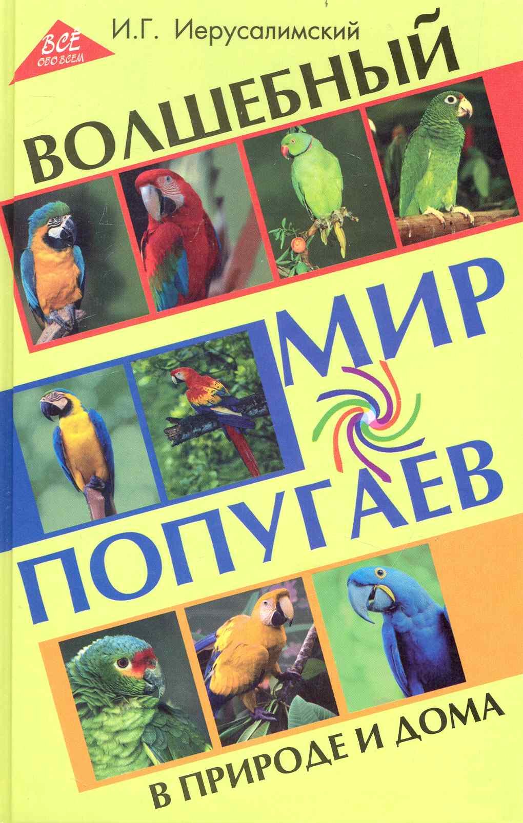 

Волшебный мир попугаев в природе и дома