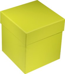 Коробка подарочная "Неон зеленая" 8*8*9см