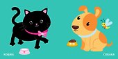 Книжка для купания. Книжка-проявляшка для малышки - 2