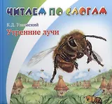 Утренние лучи