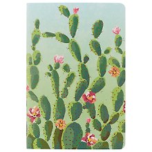 Тетрадь общая «Blooming cactus», 24 листа в клетку, А5, в ассортименте