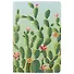 Тетрадь в клетку Blooming cactus, А5, 24 листа, в ассортименте - 0
