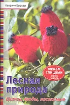 Лесная природа. Цветы, ягоды, насекомые