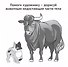 Родители и малыши. Карточки в лапочке. 33 карточки с заданием на обороте - 2