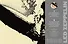Led Zeppelin: Expanded Edition, All the Albums, All the Songs - 1