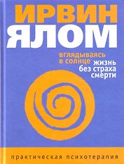 Вглядываясь в солнце. Жизнь без страха смерти