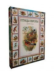 Птицы Европы
