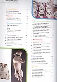 Итальянский язык. Иллюстрированная грамматика - 1