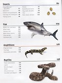 The Animal Book. A Visual Encyclopedia of Life on Earth - 2
