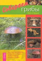 Собираем грибы без страха
