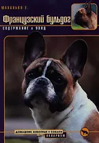 Французский бульдог. Верность и отвага. (н/о)