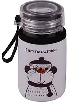 Бутылка Кот и пёс 300мл (стекло+ткань) 12-07599-pt310m9806