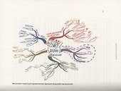 Интеллект-карты. Полное руководство по мощному инструменту мышления - 2