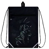 Мешок для сменной обуви "Сталкер" 36 х 48 см, 1 отделение, субл.печать