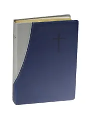 Библия (1110)045 DT