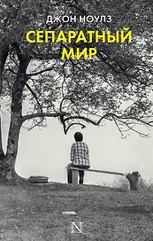 Сепаратный мир : роман