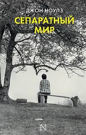 Сепаратный мир : роман