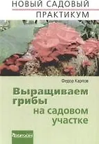 Выращиваем грибы на садовом участке