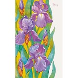 Ежедневник, Эксмо А5 112л. н/датир. Цветы. Нежные ирисы твердая обложка ЕЖ18511206