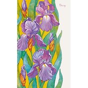 Ежедневник, Эксмо А5 112л. н/датир. Цветы. Нежные ирисы твердая обложка ЕЖ18511206