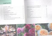 Розы / Иллюстрированный справочник - 1
