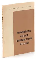 Взаимодействие органов пищеварительной системы
